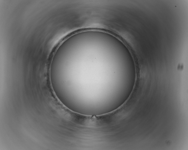 X0000112981364200909031059