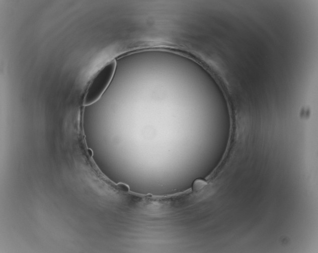 X0000112981365200909031059