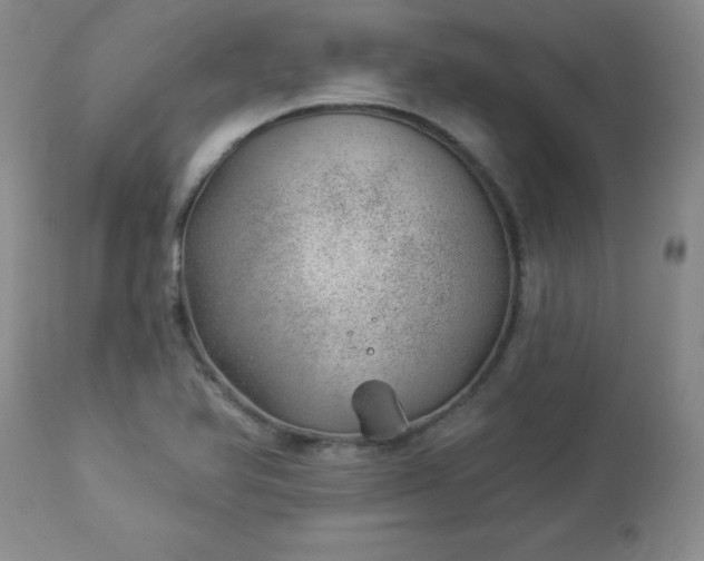 X0000112981366200909031059