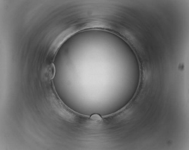 X0000112981369200909031059