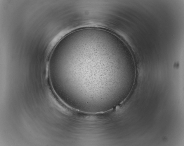 X0000112981371200909031059