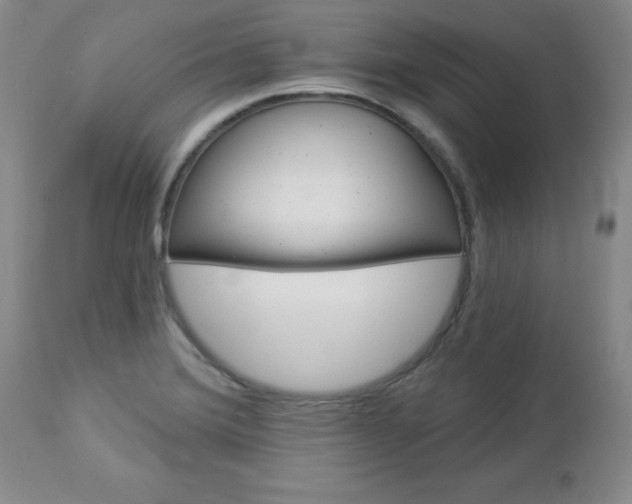 X0000112981372200909031059