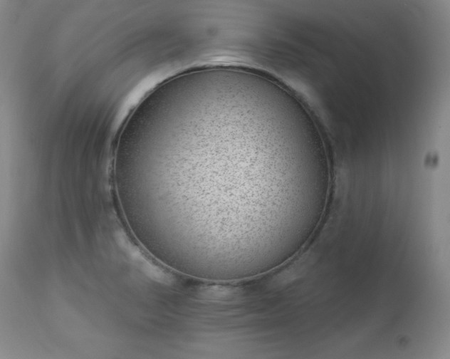 X0000112981374200909031059