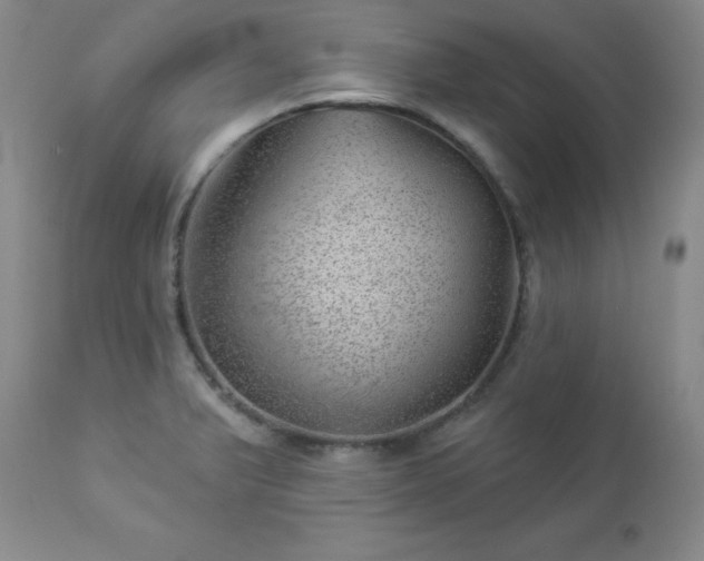 X0000112981375200909031059