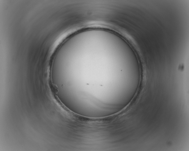 X0000112981376200909031059