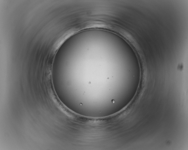 X0000112981377200909031059