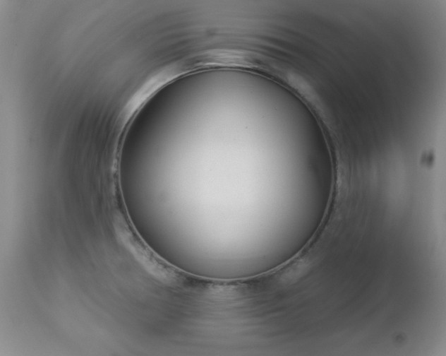 X0000112981378200909031059