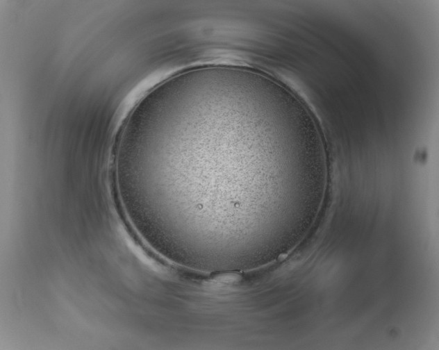 X0000112981379200909031059