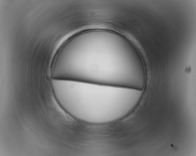 X0000112981380200909031059