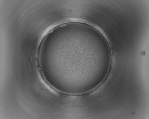 X0000112981381200909031059