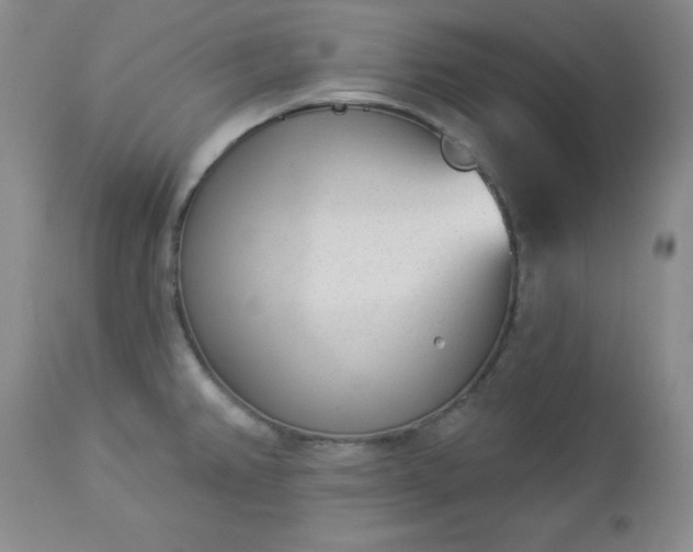 X0000112981382200909031059