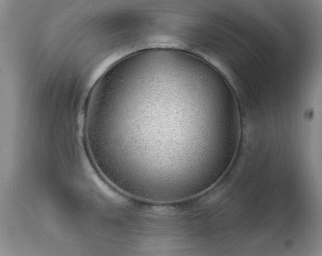 X0000112981383200909031059