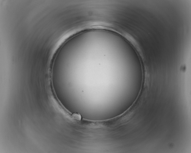 X0000112981384200909031059