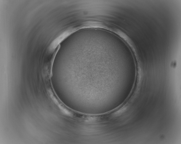 X0000112981385200909031059