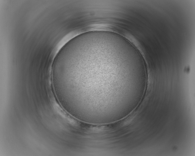X0000112981386200909031059