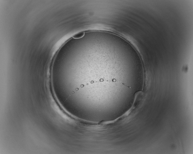X0000112981387200909031059