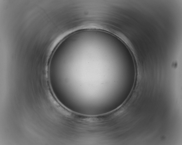 X0000112981388200909031059