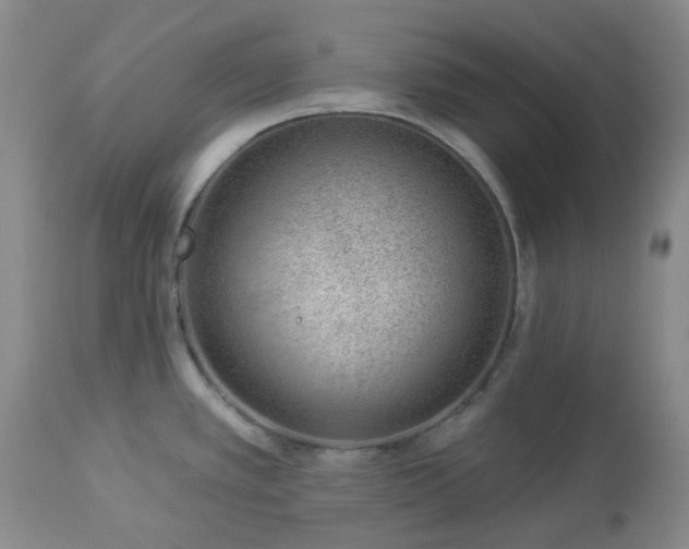 X0000112981389200909031059