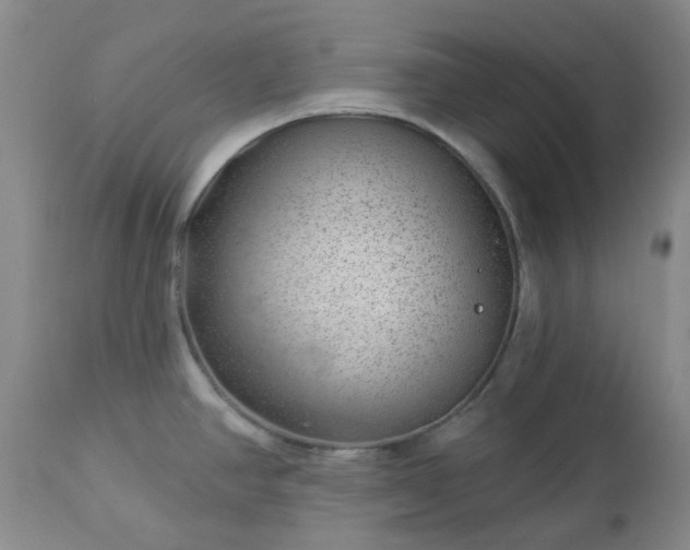 X0000112981390200909031059