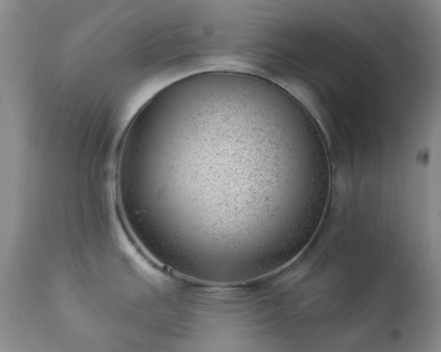 X0000112981391200909031059