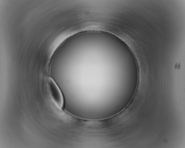 X0000112981392200909031059