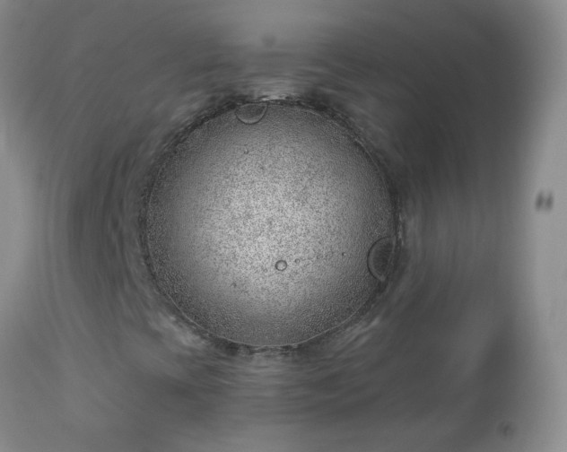 X0000112981393200909031058