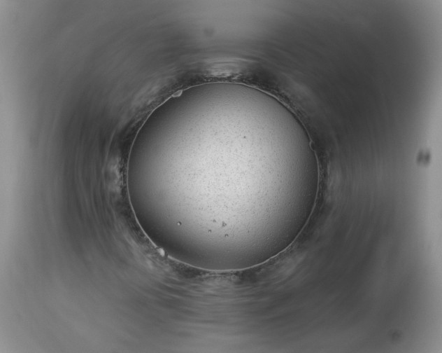 X0000112981394200909031058