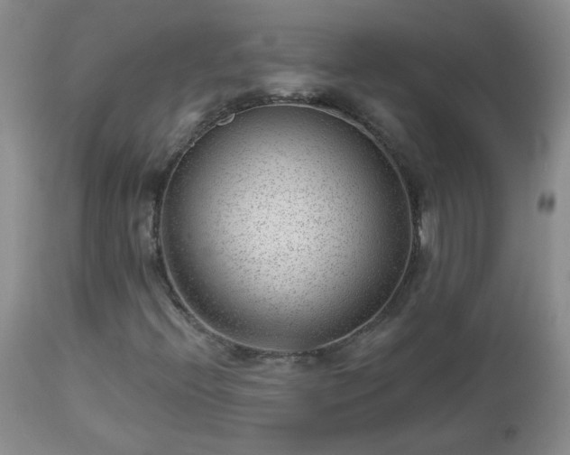 X0000112981396200909031058