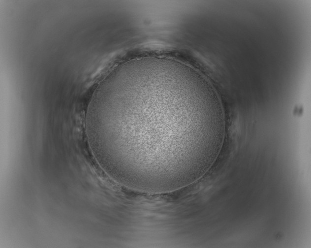 X0000112981397200909031058