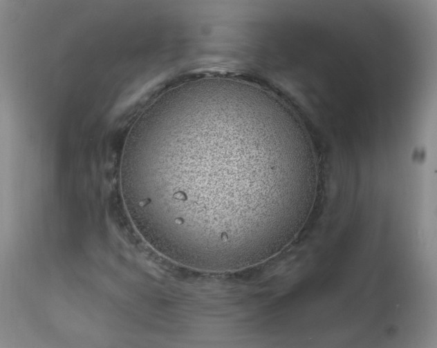 X0000112981399200909031058