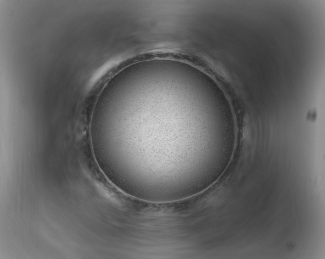 X0000112981400200909031058