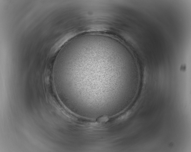X0000112981401200909031058
