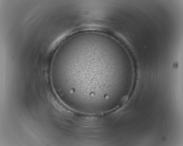 X0000112981403200909031058