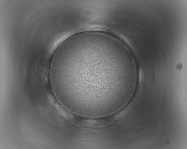X0000112981405200909031058