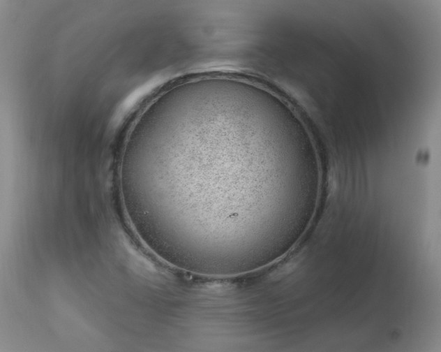 X0000112981406200909031059
