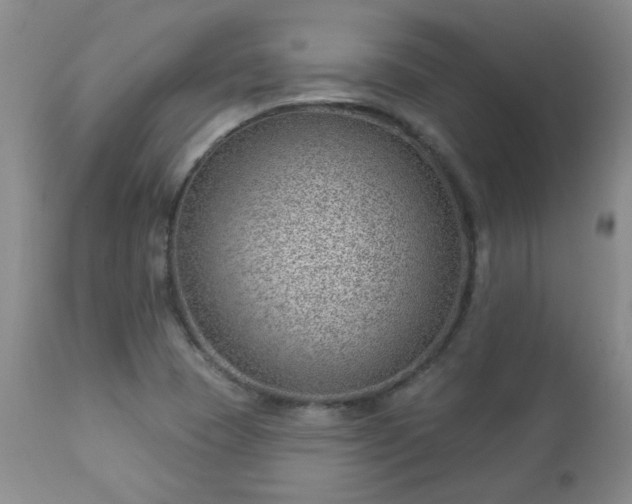 X0000112981409200909031059