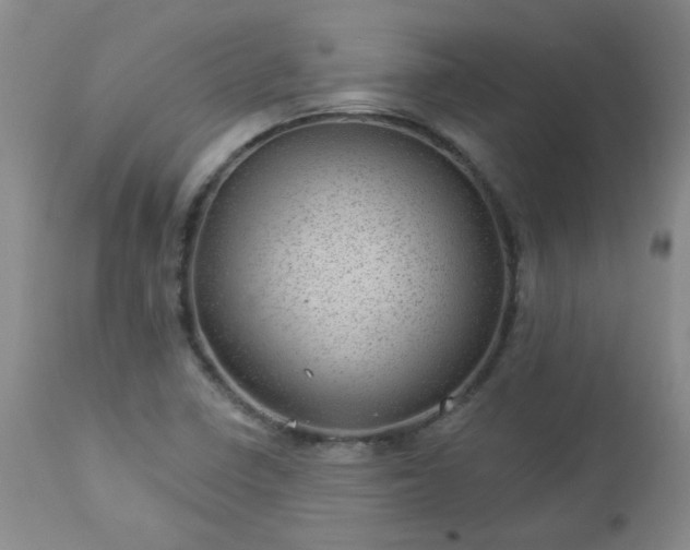 X0000112981410200909031059