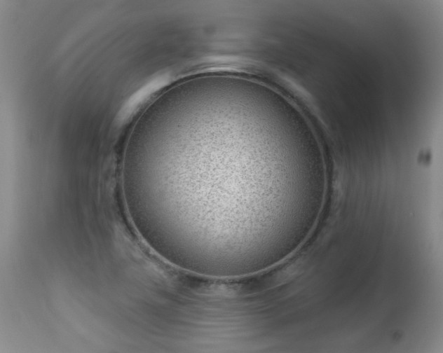 X0000112981411200909031059