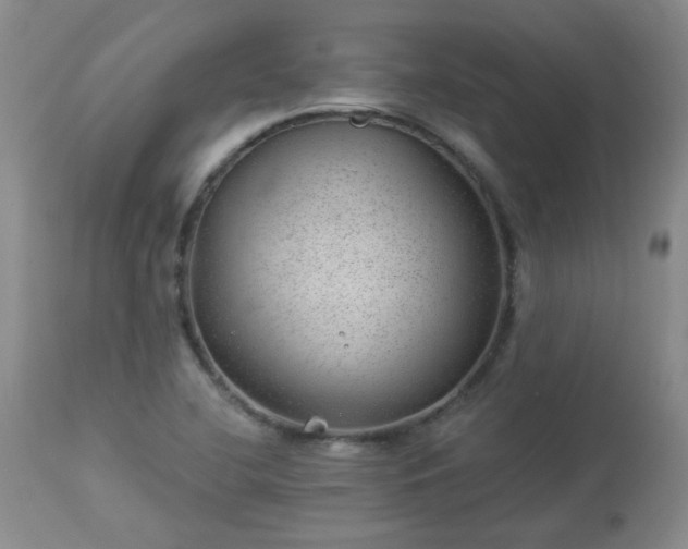 X0000112981412200909031059