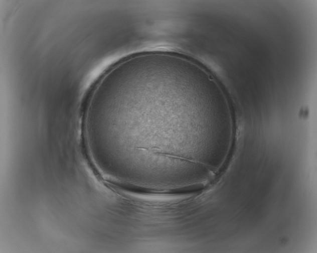 X0000112981414200909031059