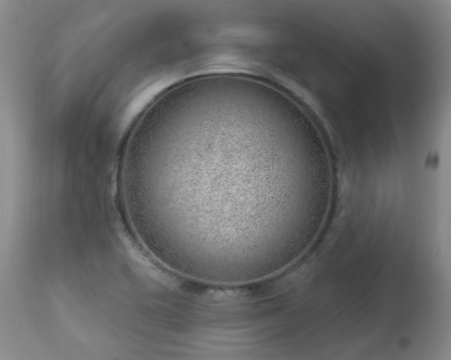 X0000112981415200909031059