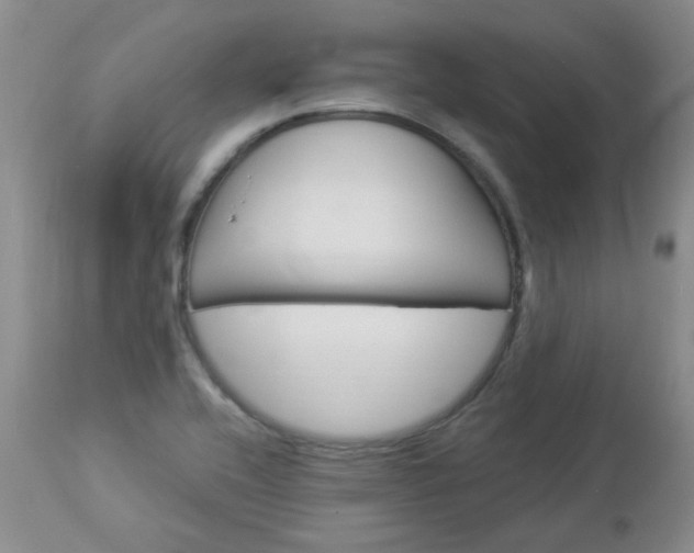 X0000112981416200909031059