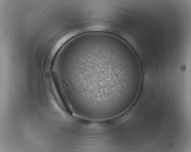X0000112981418200909031059