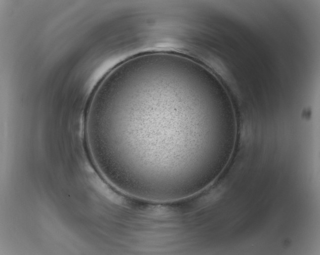 X0000112981420200909031059