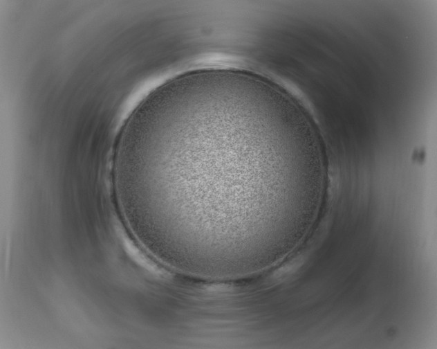 X0000112981421200909031059