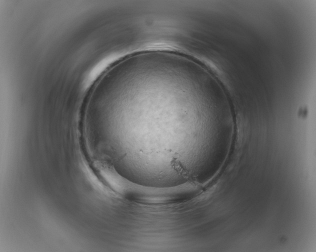 X0000112981422200909031059