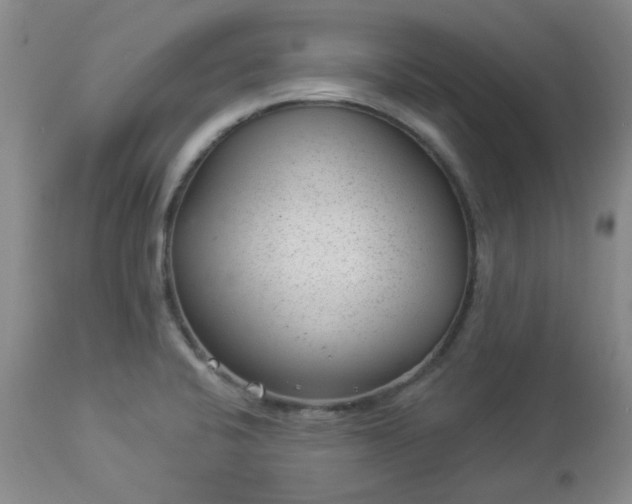 X0000112981424200909031059