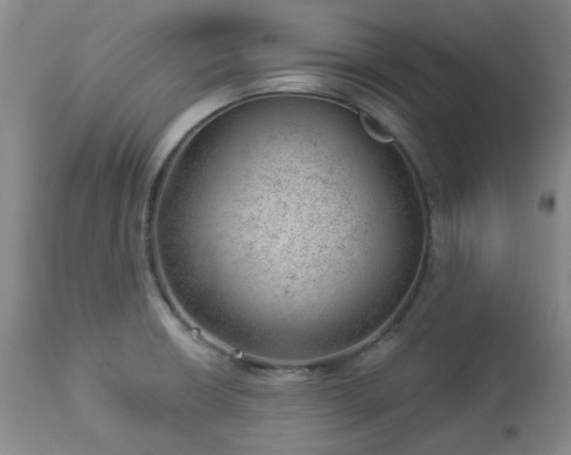 X0000112981426200909031059