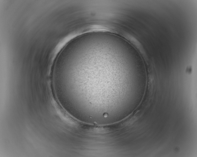 X0000112981427200909031059