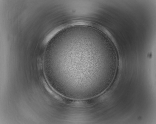 X0000112981433200909031059